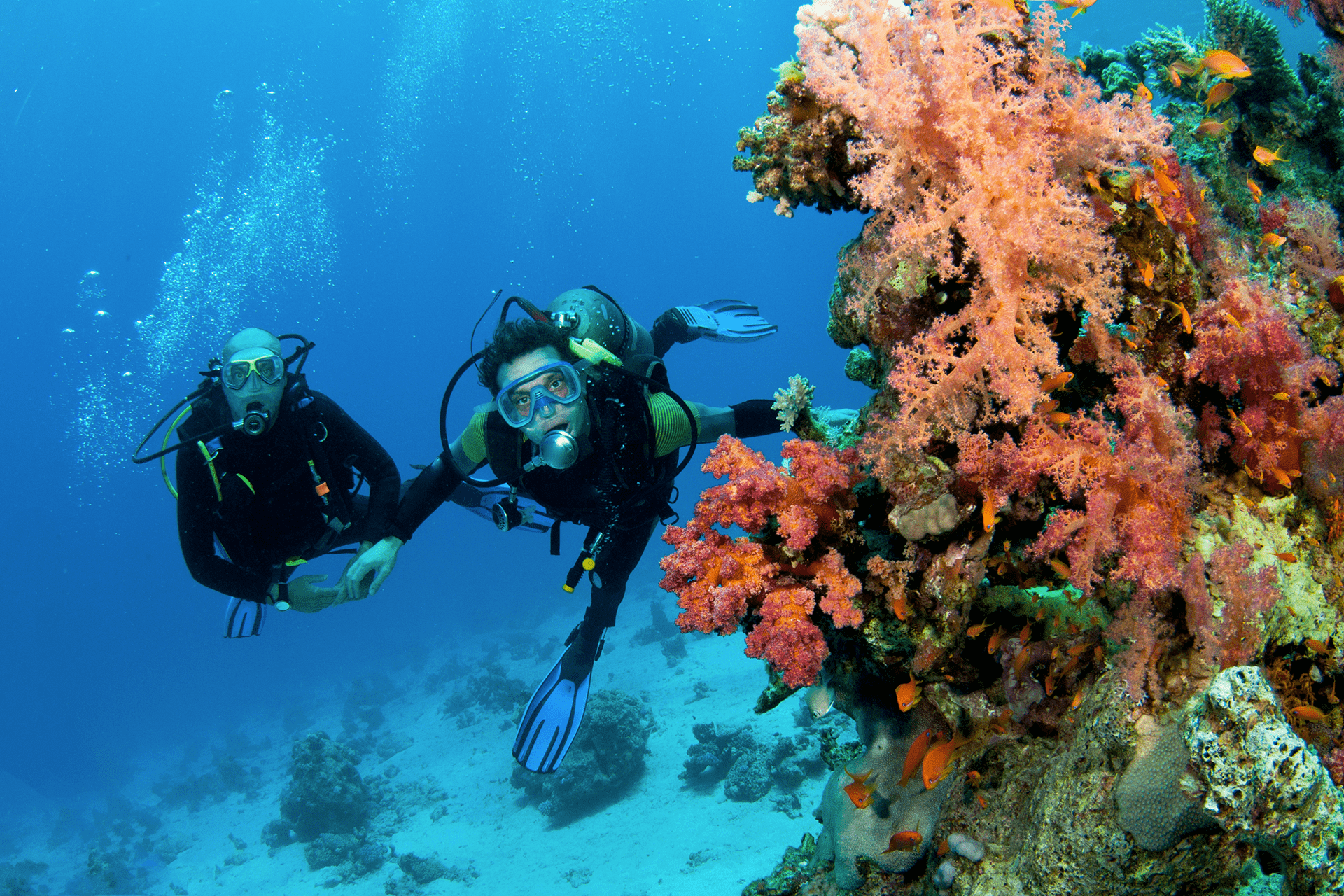 Ecotourism guidelines – Coral Reef
